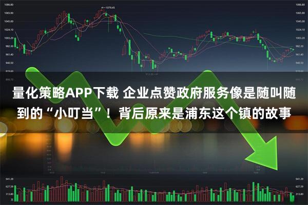 量化策略APP下载 企业点赞政府服务像是随叫随到的“小叮当”！背后原来是浦东这个镇的故事