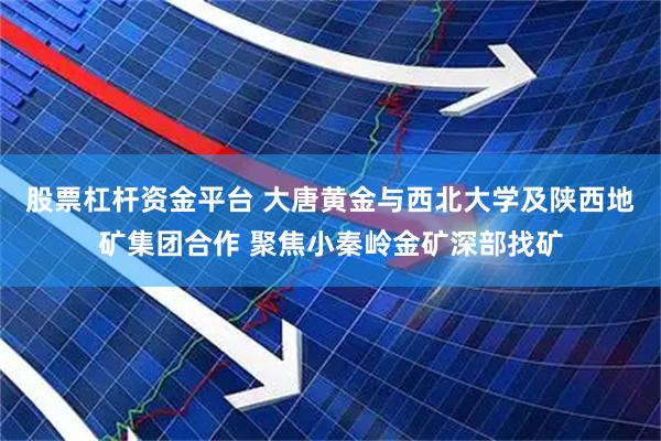 股票杠杆资金平台 大唐黄金与西北大学及陕西地矿集团合作 聚焦小秦岭金矿深部找矿