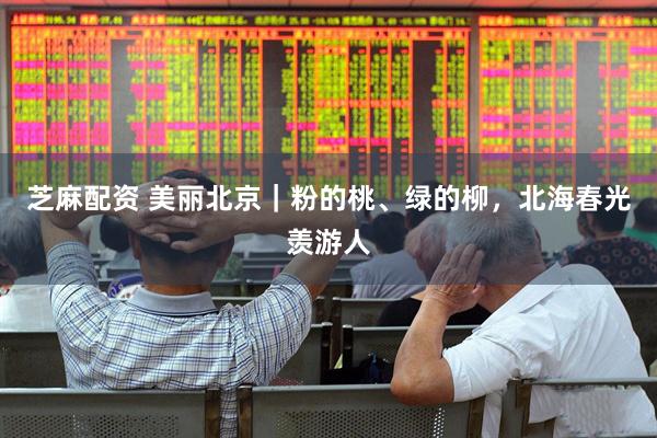 芝麻配资 美丽北京｜粉的桃、绿的柳，北海春光羡游人