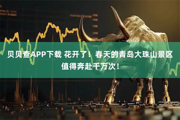 贝贝查APP下载 花开了！春天的青岛大珠山景区值得奔赴千万次！